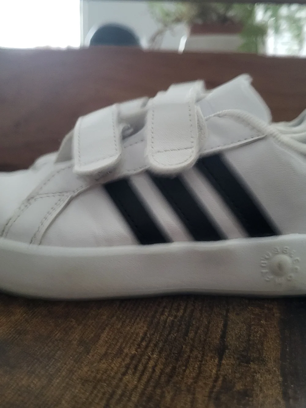 adidas classic white